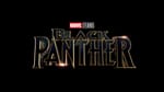 Black Panther Home Video Release Date Announced