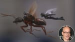 Peyton Reed to Direct Third Ant-Man Film