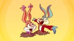 Tiny Toons Looniversity Coming to HBO Max