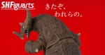 Official Images: S.H.Figuarts Gomora