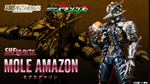 Official Images: S.H.Figuarts Mole Amazon