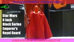 Review: Star Wars 6 Inch Black Series Emperor’s Royal Guard