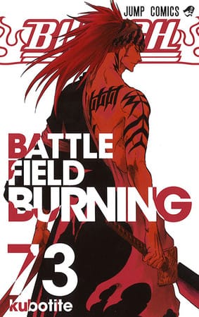Bleach 73